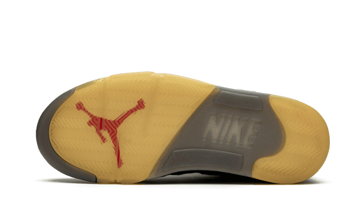 Air Jordan 5 Retro Off-White Muslin - Addtocart®