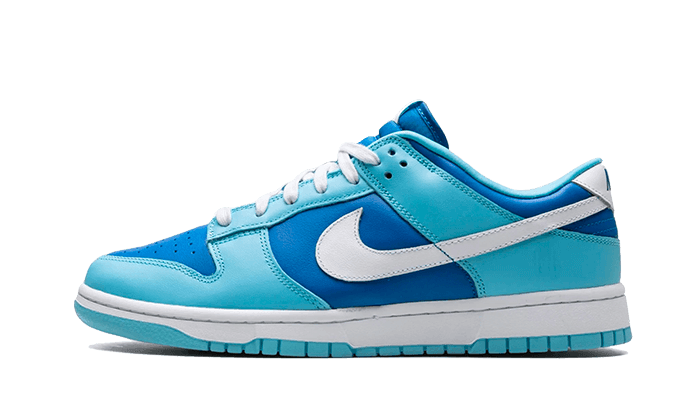 Nike Dunk Low Retro QS Argon - Addtocart®