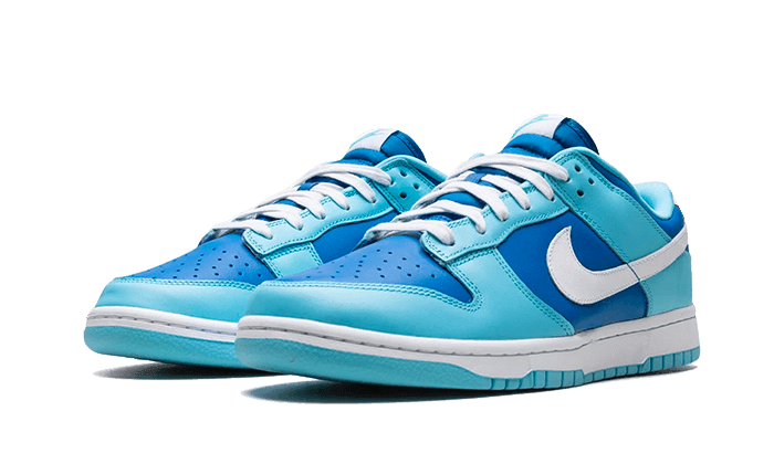 Nike Dunk Low Retro QS Argon - Addtocart®