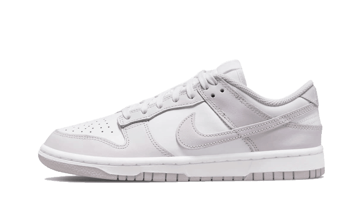 Nike Dunk Low Venice - Addtocart®